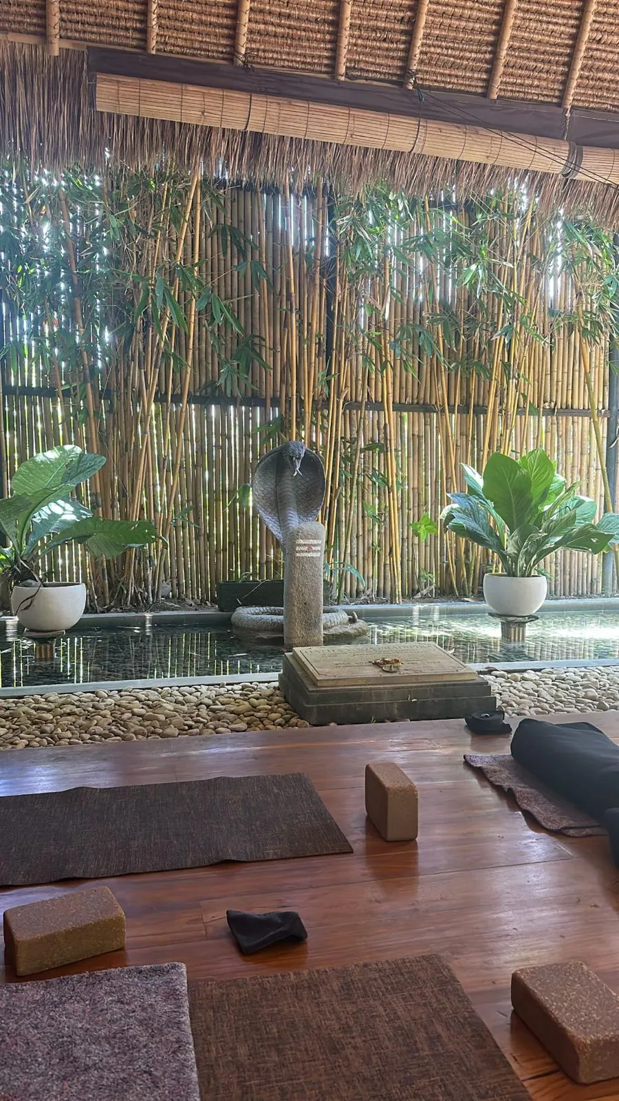 Studio with timber floor, mats and bamboo screening